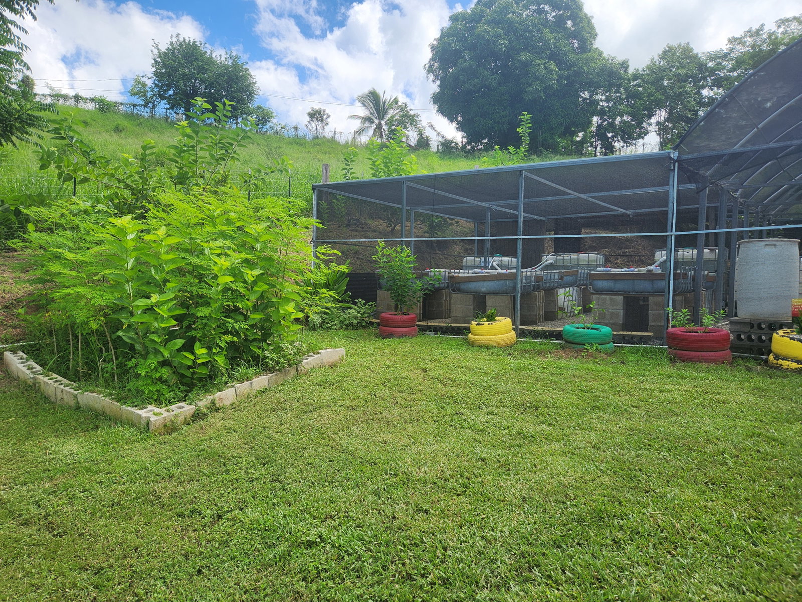 Imagen de la finca